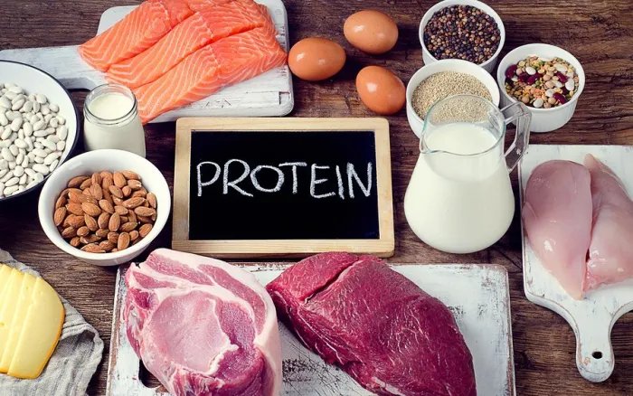 how to cut for bodybuilding protein