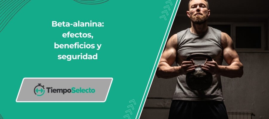 Beta-alanina: efectos, beneficios y seguridad –
