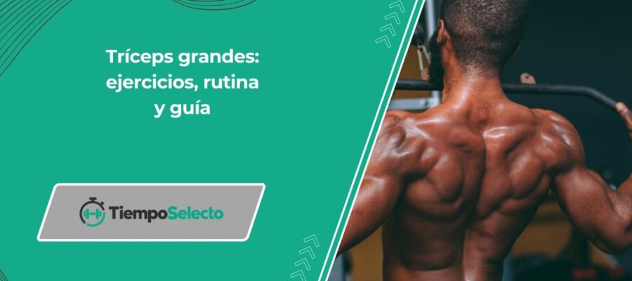 Cómo desarrollar tríceps grandes: ejercicios, rutina y guía completa