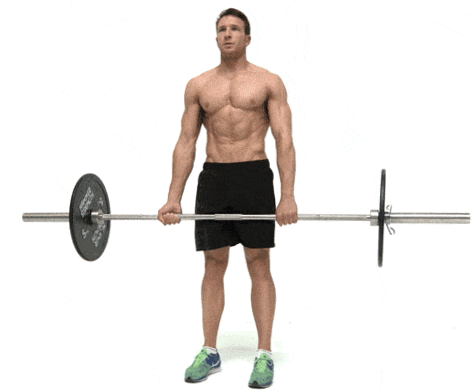 Ejercicios para adelgazar el abdomen | Blog