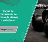 ¿Importa el rango de movimiento en la prensa de piernas para el crecimiento de cuádriceps? –