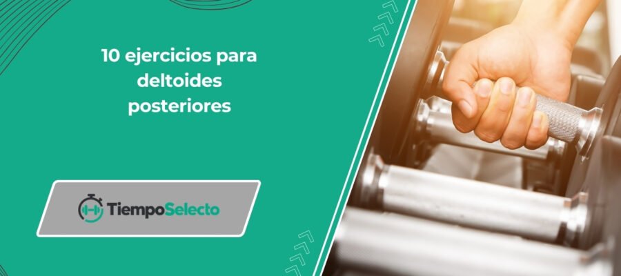 Los 10 mejores ejercicios para deltoides posteriores para ganar músculo y fuerza –